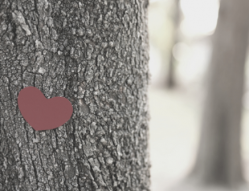 Capital L Love: A Higher Level of Consciousness in Leadership